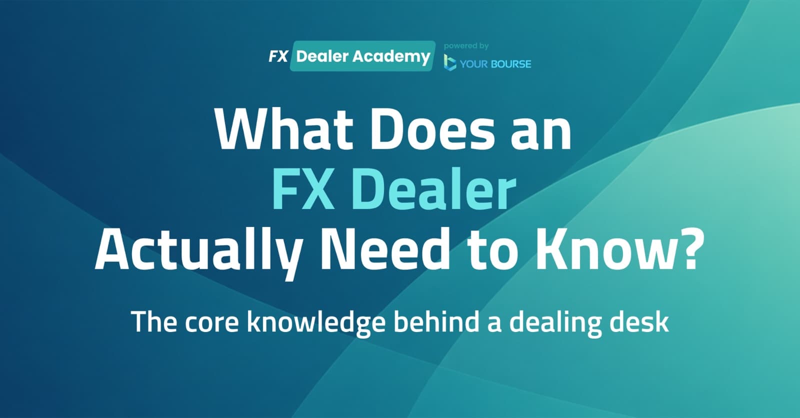 What Does an FX Dealer Actually Need to Know?